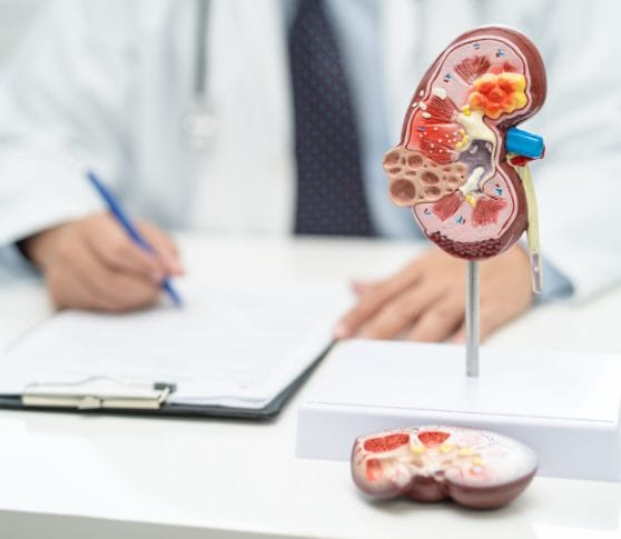 Urology with Our Management Innovations