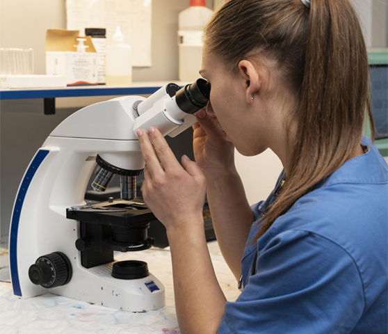 Dermatopathology-Billing-and-Coding-Services-at-MAVA-Care